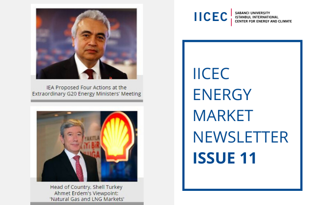 IICEC Energy Market Newsletter - Issue 11