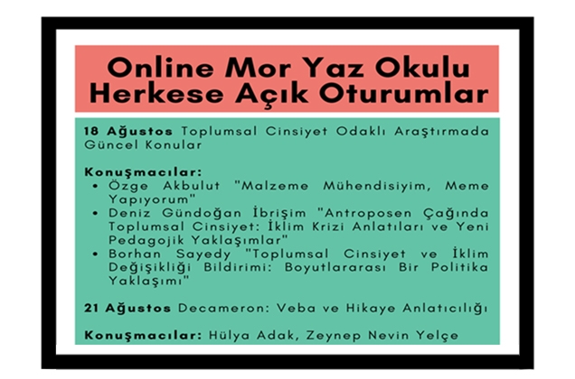 Online Mor Yaz Okulu Herkese Açık Oturumlar başlıyor Resmi