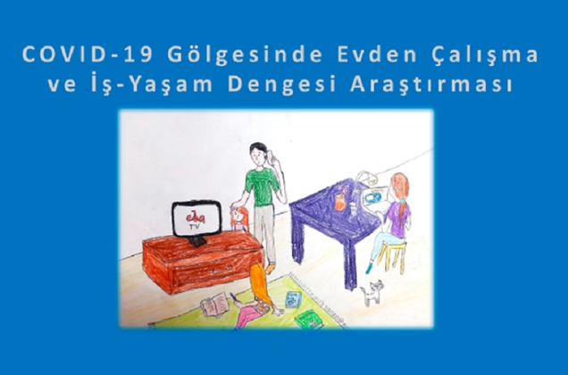 Öğretim Üyemiz Mahmut Bayazıt’ın Araştırması