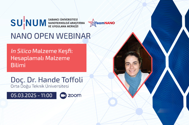 In Silico Malzeme Keşfi: Hesaplamalı Malzeme Bilimi