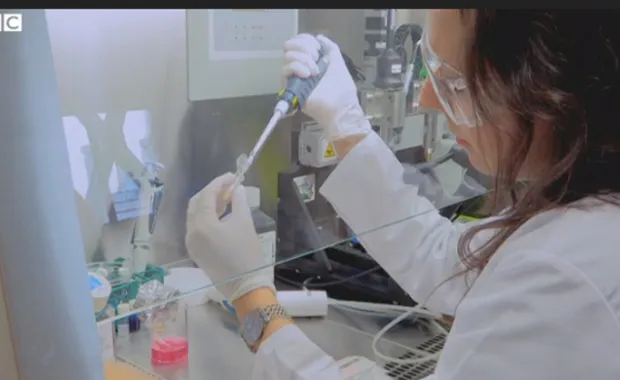 Our scientific research was featured on BBC World!