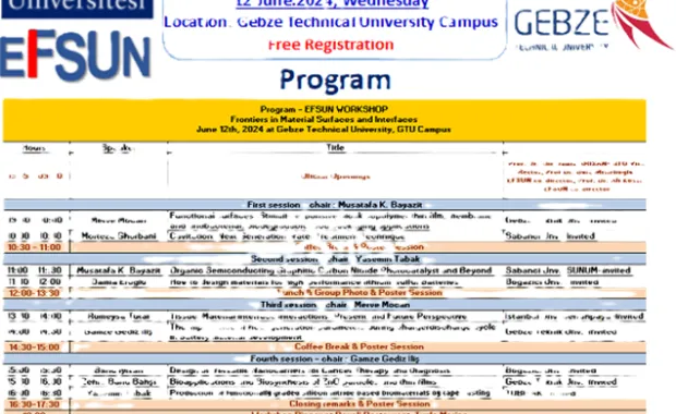 EFSUN Frontiers in Material Surfaces and Interfaces