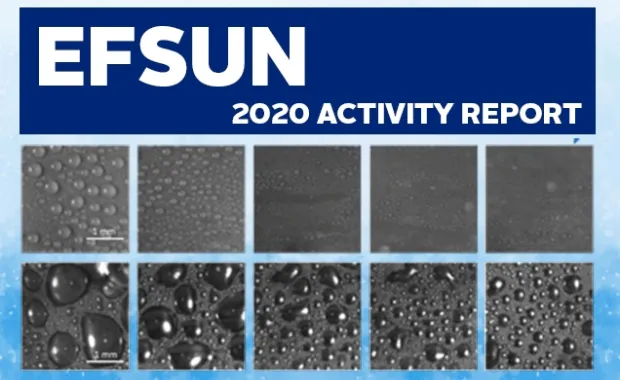 EFSUN 2020 Activity Report