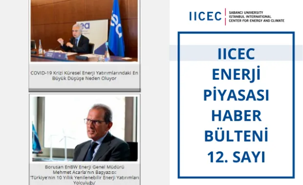 IICEC Energy Market Newsletter - Issue 12