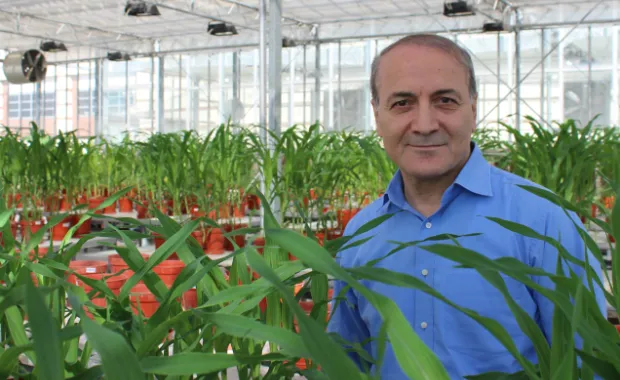 Our Faculty Member İsmail Çakmak Ranks First in Turkey in The List of The Most Influential Scientists of The World
