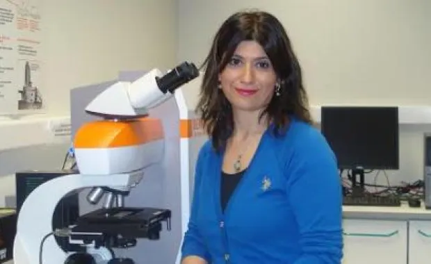 Achievements of Meltem Sezen