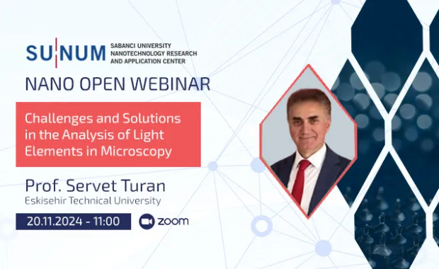 Challenges and Solutions in the Analysis of Light Elements in Microscopy