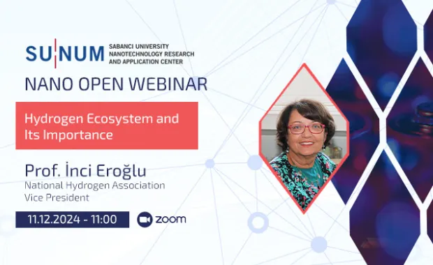 Hydrogen Ecosystem and Its Importance