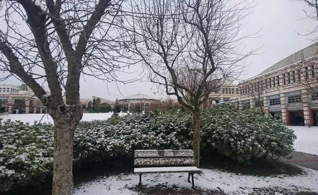 Announcement: Transportation Difficulties After Heavy Snow