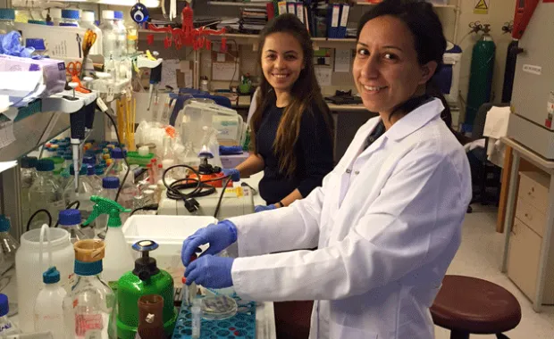 New discovery in autophagy