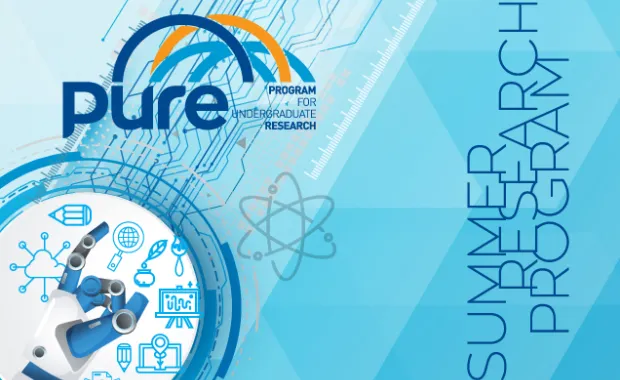 PURE Summer Term applications