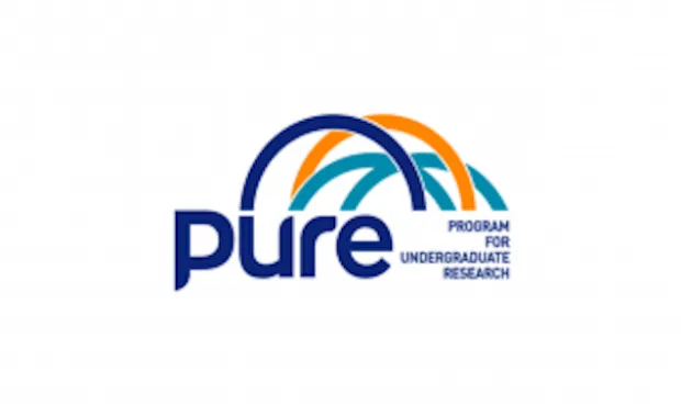 PURE 2023-2024 Summer Term Applications are Now Open