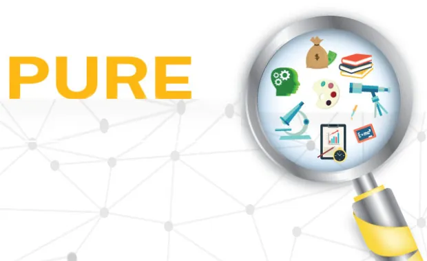 Program for Undergraduate Research (PURE) applications