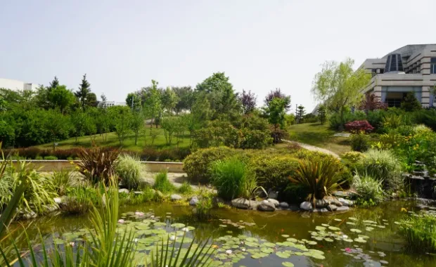Sabancı University is the ‘greenest’ university