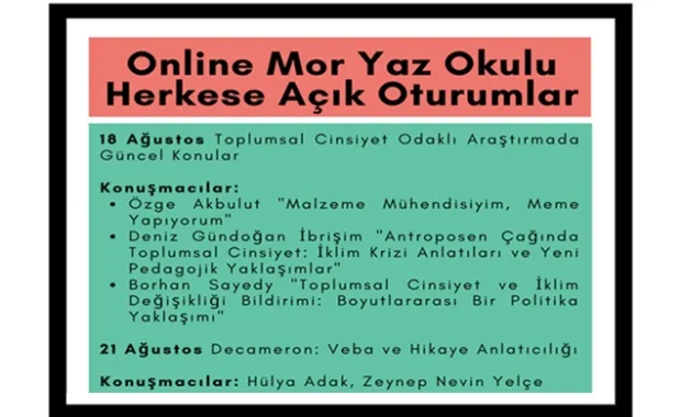 Online Mor Yaz Okulu Herkese Açık Oturumlar başlıyor Resmi
