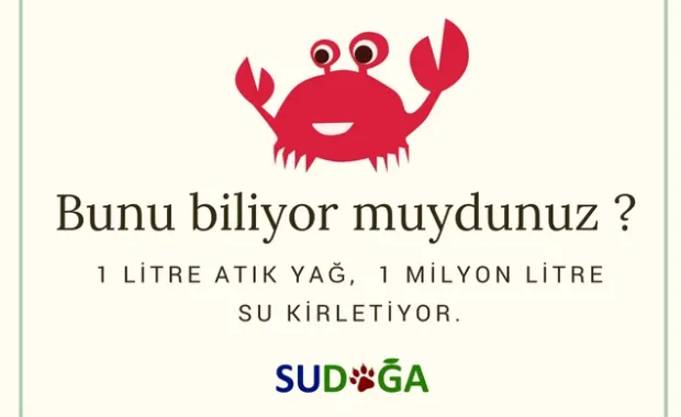 Bunu biliyor muydunuz?