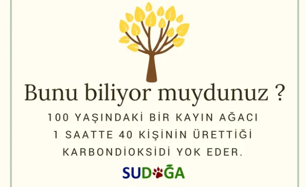 Bunu biliyor muydunuz?