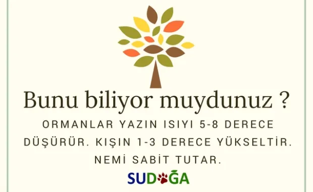 Bunu biliyor muydunuz?