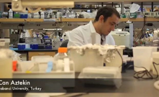 Harvard'da Kök Hücre Araştırmasında