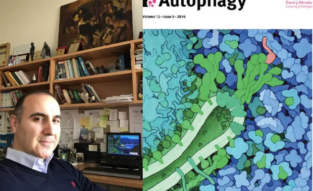 Devrim Gözüaçık Autophagy Journal’a Yardımcı Editör olarak davet aldı