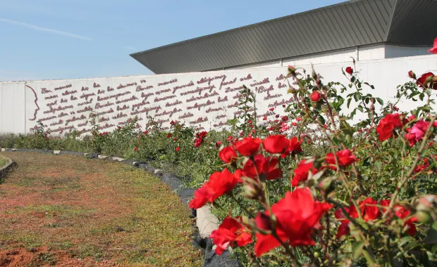 29 Ekim Cumhuriyet Bayramı'mız Kutlu Olsun
