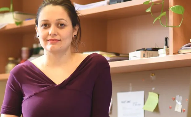GDO'lu ürün testi evlere girecek