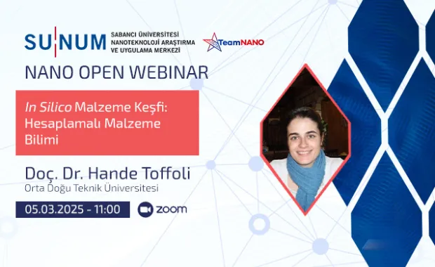 In Silico Malzeme Keşfi: Hesaplamalı Malzeme Bilimi