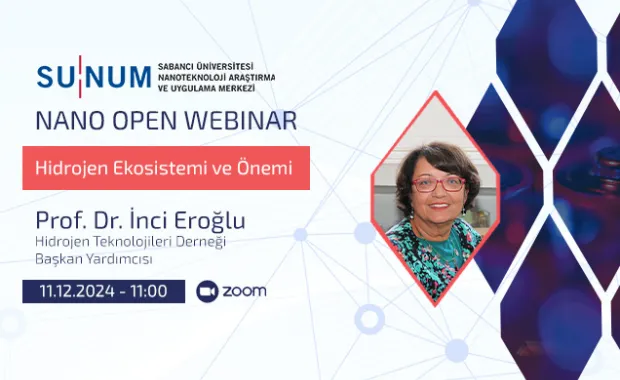 Hidrojen Ekosistemi ve Önemi