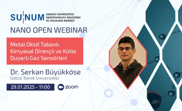 Metal Oksit Tabanlı Kimyasal Dirençli ve Kütle Duyarlı Gaz Sensörleri