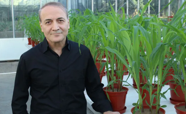 İsmail Çakmak 2016 IPNI Bilim Ödülü'nü kazandı