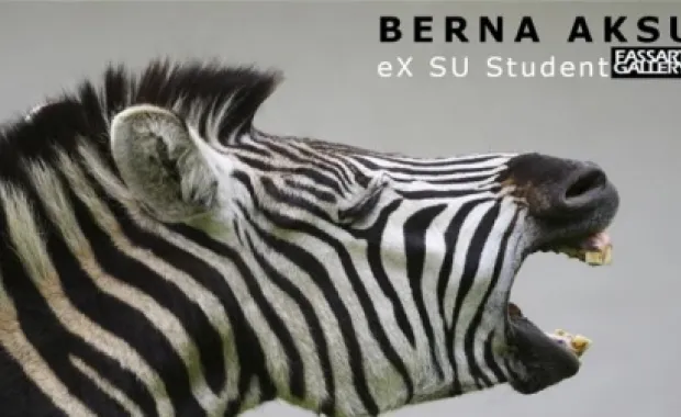 VACD Mezunumuz Berna Aksu'nun Kişisel Sergisi Pain SSBF Galeride