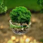 Education Reform Initiative Collaborates for Green Transformation in Education