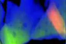 Elucidating the Mysteries of Long Afterglow in Ceramic Phosphors