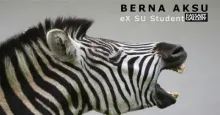 VACD Mezunumuz Berna Aksu'nun Kişisel Sergisi Pain SSBF Galeride