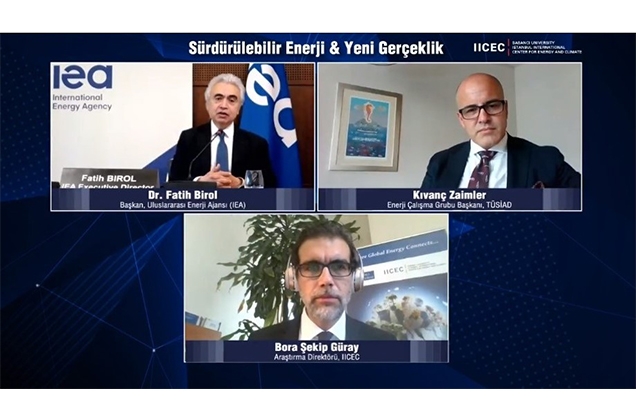 IICEC Webinar on ‘‘Sustainable Energy and the New Reality’’’